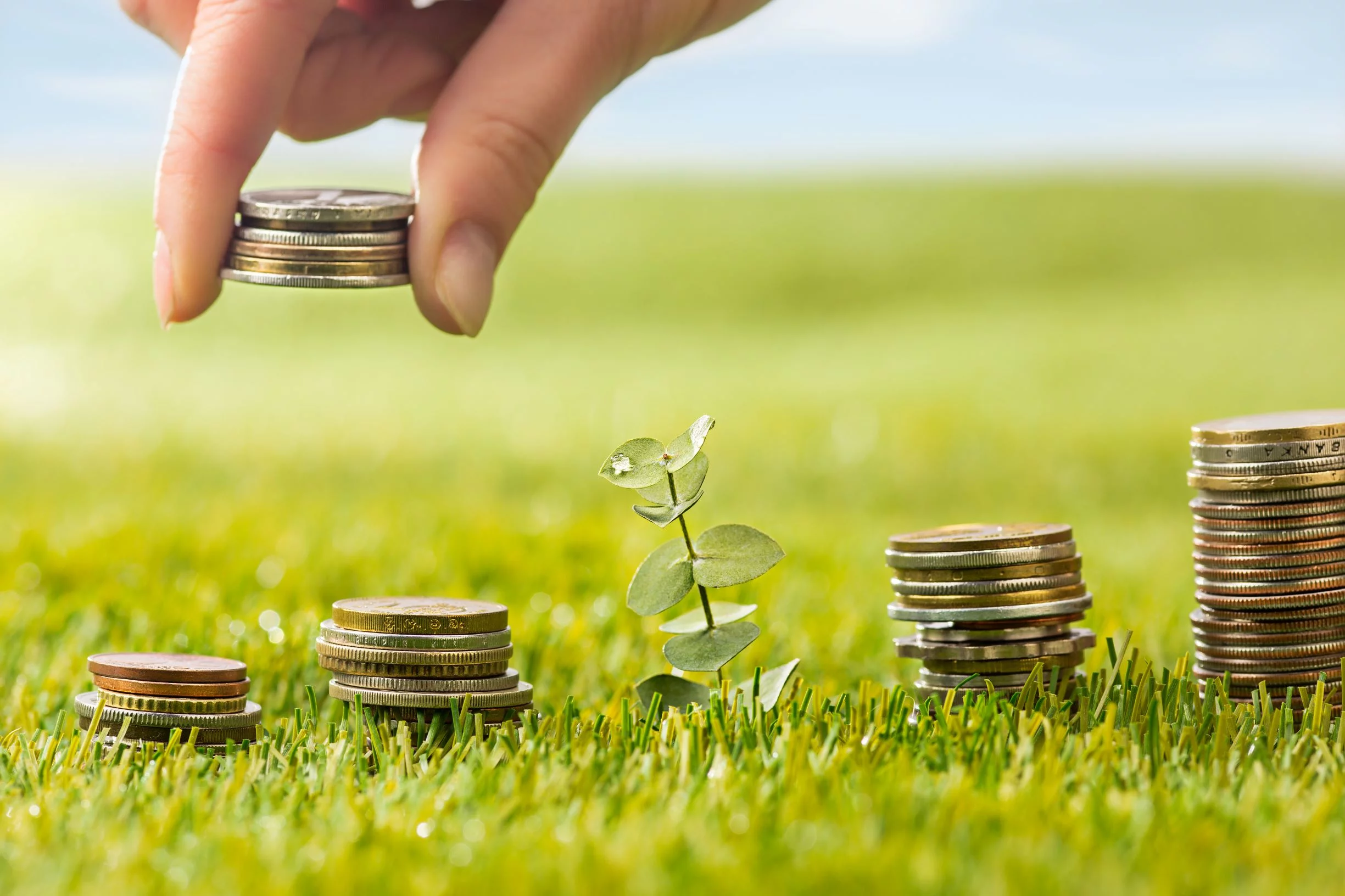 تفاصيل ومزايا حساب FLEXI SAVE من بنك saib