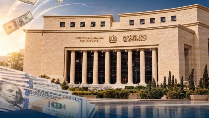 المركزي: تحويلات المصريين العاملين بالخارج تقفز إلى 29.7 مليار دولار خلال 7 أشهر