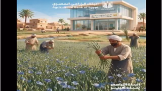 البنك الزراعي المصري يسلط الضوء على الكتان «الذهب الأخضر» ودوره في دعم الصناعة والتصدير